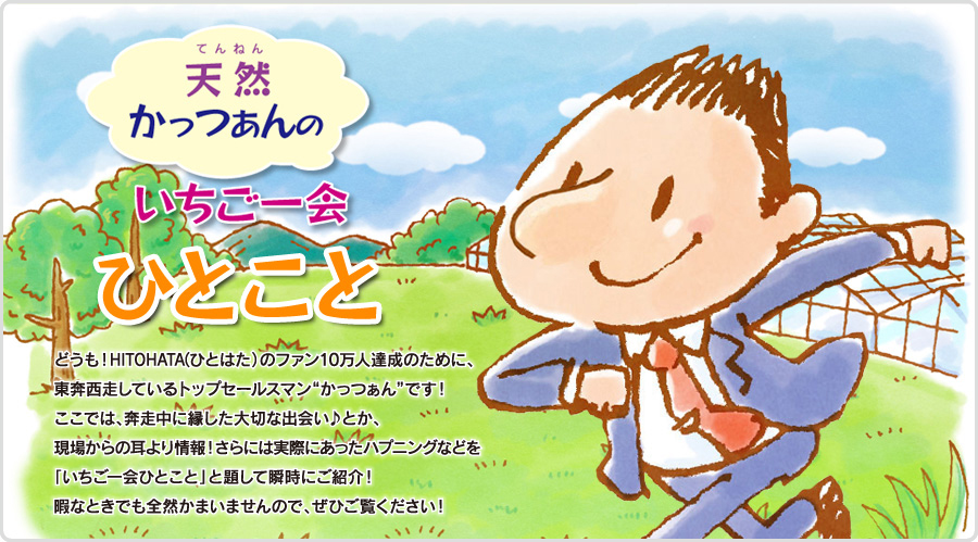 天然かっつぁんのいちご一会 ひとこと